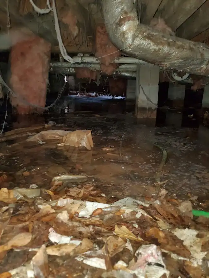 Crawl space flood assessment for Leak Detection & Repair in Cheney