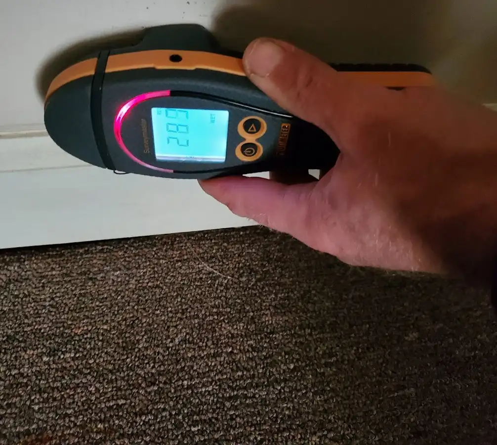 Moisture detection at baseboard during Mold Inspection & Testing in Cheney